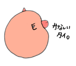 293975209