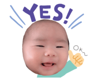 294014660