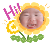 294014665