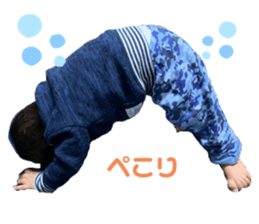 294025306