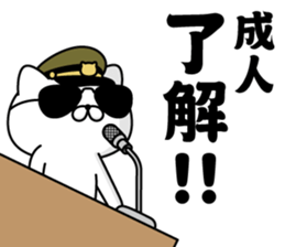 294044261