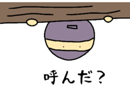 29405750