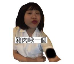 294063135