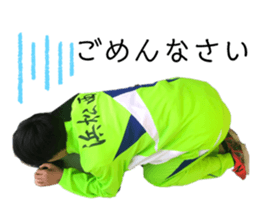 294078380