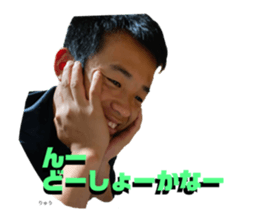 294080141