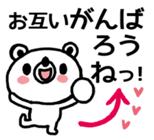 29408031