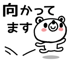 29408036