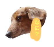 294121215