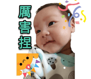 294133320