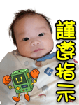 294133325