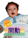 294133341