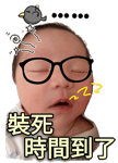 294133345
