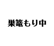 294157224