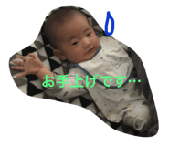 29415931