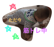 29415934