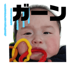 294178092