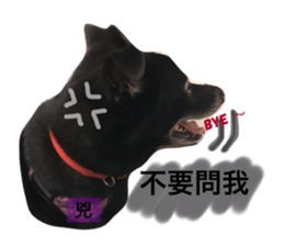29419914