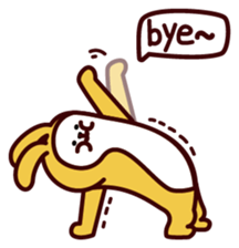 294265053