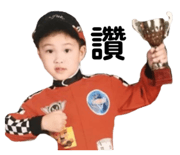 294331977