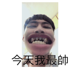 294352338
