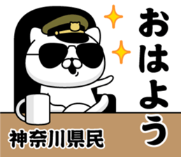 294354550