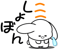 294356462