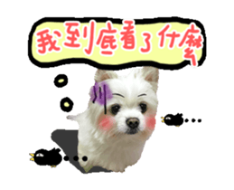 29443393