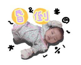 29443402
