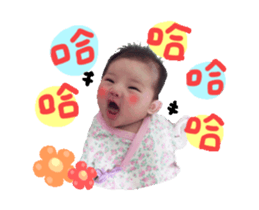 29443404