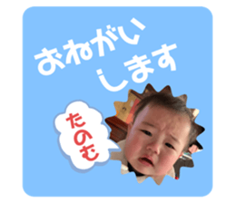 294435272