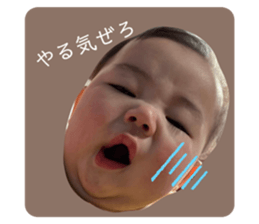 294435290