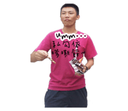 294435451