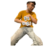 294435459