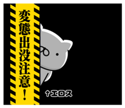 294441062