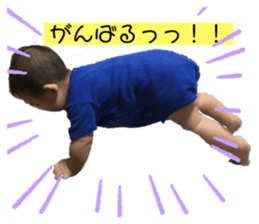 294459494