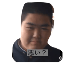 294462254