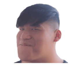 294485919
