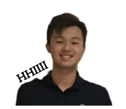 294485925