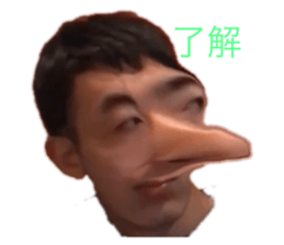 294489037