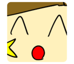 294494554