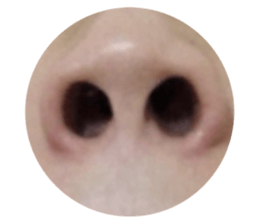 29452868