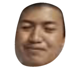 29454337