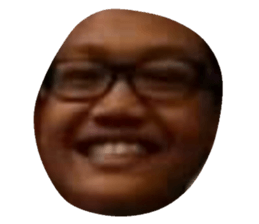 29454343