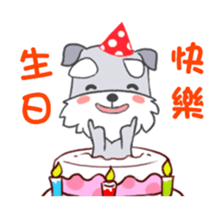 294543539