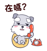 294543541