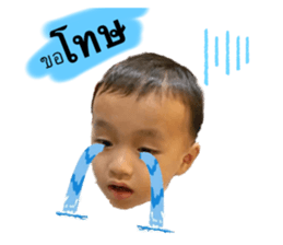294547515