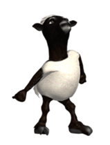 29455208