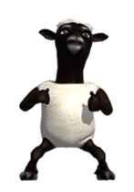 29455213