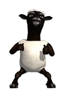 ลายที่ 6