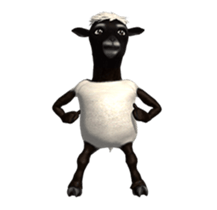 29455214
